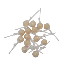 Lolly’s Creme kleur 11 gram